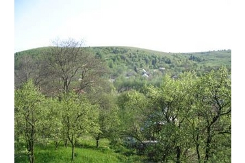 Rumānija Privát Almaş, Eksterjers